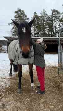 EU-Mobilitäten der 4IUM