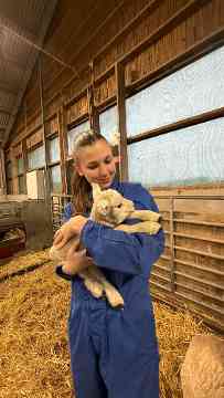 EU-Mobilitäten der 4IUM