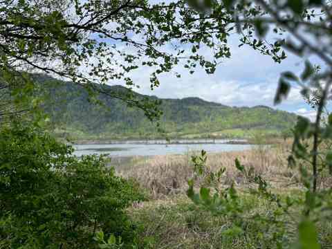 Europaschutzgebiet Tiebelmündung