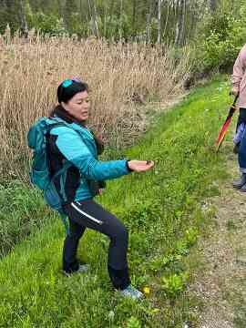 Europaschutzgebiet Tiebelmündung