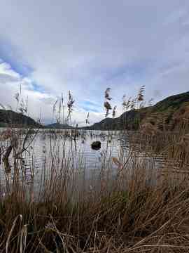 Europaschutzgebiet Tiebelmündung