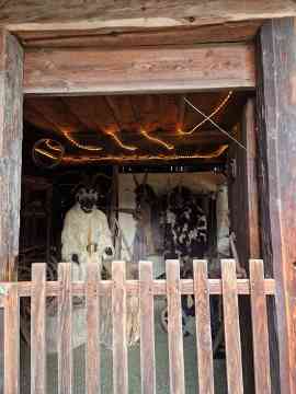 Familienadvent 2025 im Freilichtmuseum Maria Saal