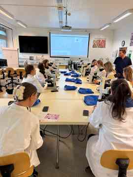 Workshop: Hämatologie