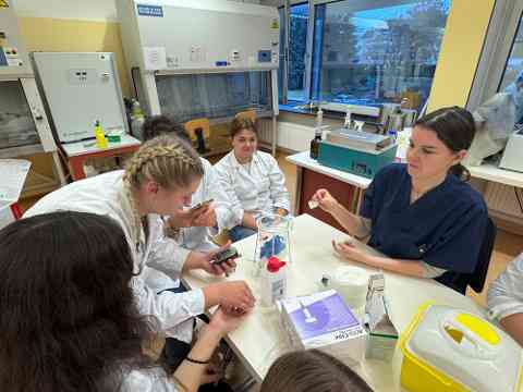 Workshop: Hämatologie