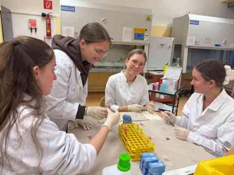 Workshop: Hämatologie