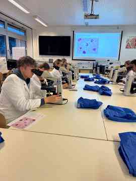 Workshop: Hämatologie