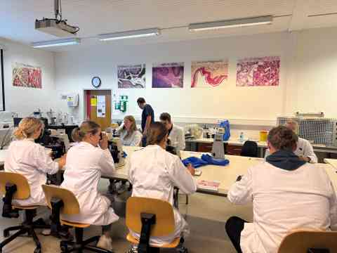 Workshop: Hämatologie