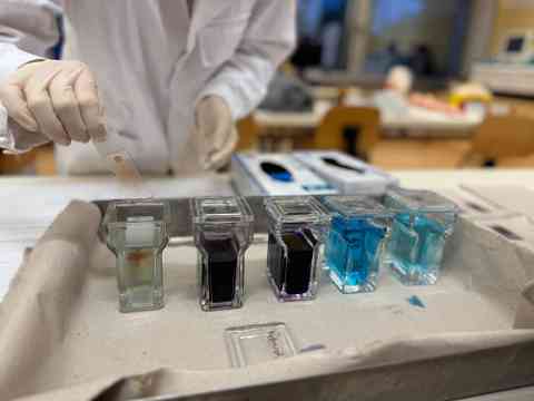 Workshop: Hämatologie