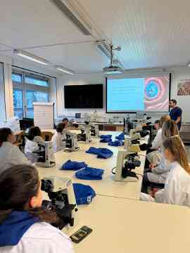 Workshop: Hämatologie