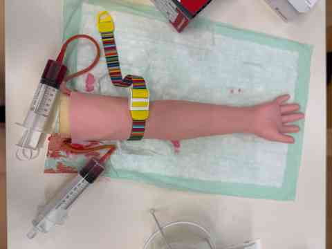 Workshop: Hämatologie