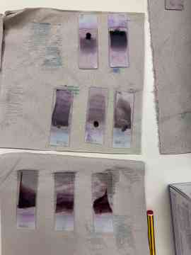 Workshop: Hämatologie