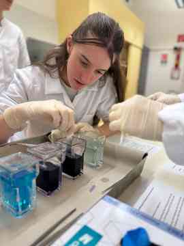 Workshop: Hämatologie