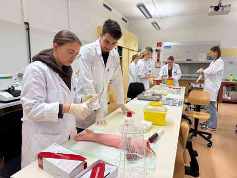 Workshop: Hämatologie