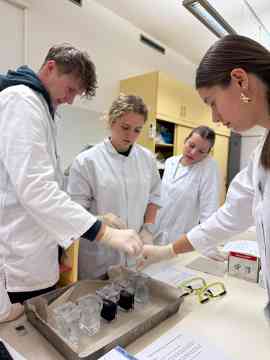 Workshop: Hämatologie