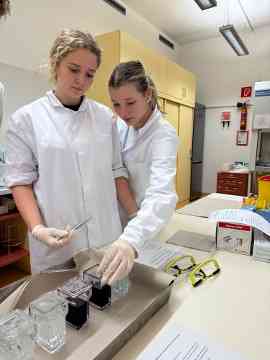 Workshop: Hämatologie