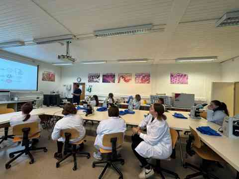 Workshop: Hämatologie