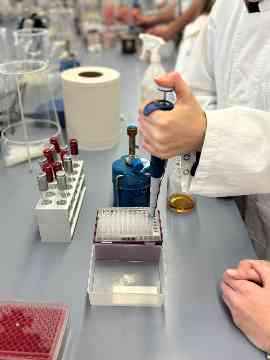 Infoabend und Praxis-Workshops 2025