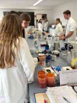 Infoabend und Praxis-Workshops 2025