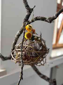 Infoabend und Praxis-Workshops 2025