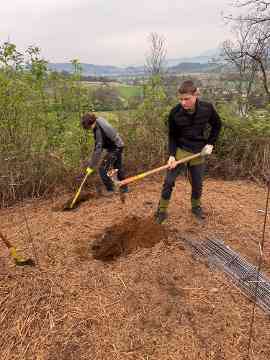 Klimafitter Wald an der HBLA Pitzelstätten