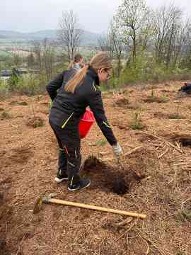 Klimafitter Wald an der HBLA Pitzelstätten