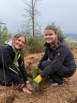 Klimafitter Wald an der HBLA Pitzelstätten
