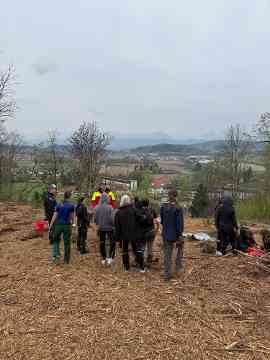 Klimafitter Wald an der HBLA Pitzelstätten