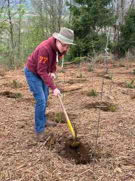 Klimafitter Wald an der HBLA Pitzelstätten