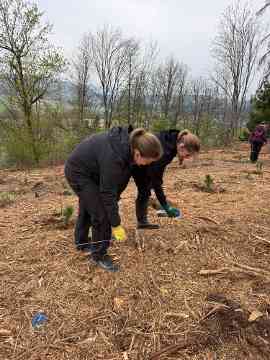 Klimafitter Wald an der HBLA Pitzelstätten