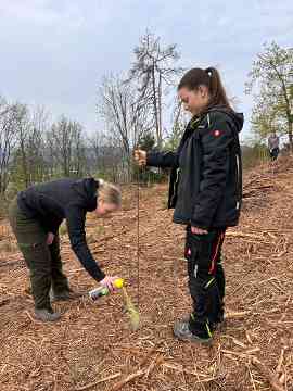 Klimafitter Wald an der HBLA Pitzelstätten
