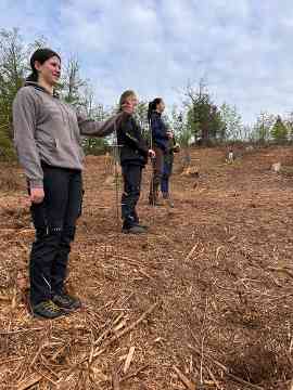 Klimafitter Wald an der HBLA Pitzelstätten
