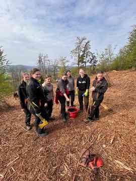Klimafitter Wald an der HBLA Pitzelstätten