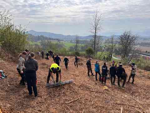 Klimafitter Wald an der HBLA Pitzelstätten
