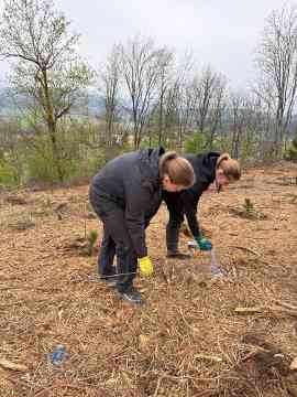 Klimafitter Wald an der HBLA Pitzelstätten