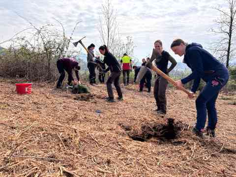 Klimafitter Wald an der HBLA Pitzelstätten