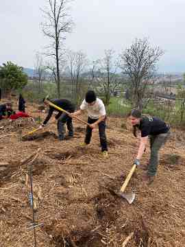 Klimafitter Wald an der HBLA Pitzelstätten