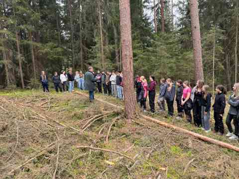 Klimafitter Wald an der HBLA Pitzelstätten