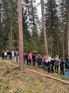 Klimafitter Wald an der HBLA Pitzelstätten