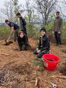 Klimafitter Wald an der HBLA Pitzelstätten
