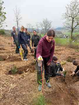 Klimafitter Wald an der HBLA Pitzelstätten