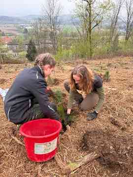 Klimafitter Wald an der HBLA Pitzelstätten