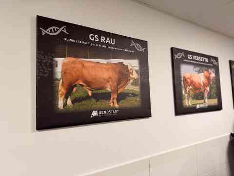 LESG: Genostar – Haubiversum – Futtermittellabor Rosenau