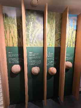 LESG: Genostar – Haubiversum – Futtermittellabor Rosenau