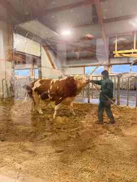 LESG: Genostar – Haubiversum – Futtermittellabor Rosenau