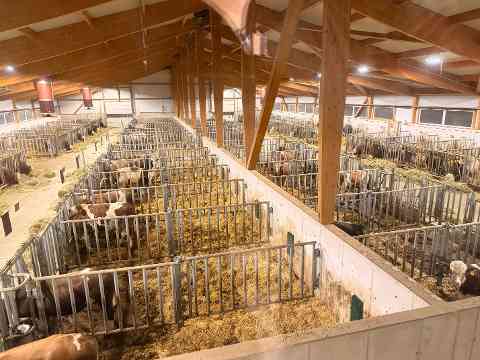 LESG: Genostar – Haubiversum – Futtermittellabor Rosenau