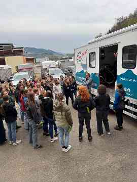 Zuchtrindversteigerung in St. Donat