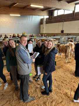 Zuchtrindversteigerung in St. Donat