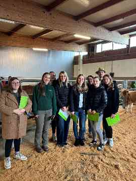 Zuchtrindversteigerung in St. Donat