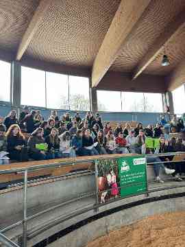 Zuchtrindversteigerung in St. Donat
