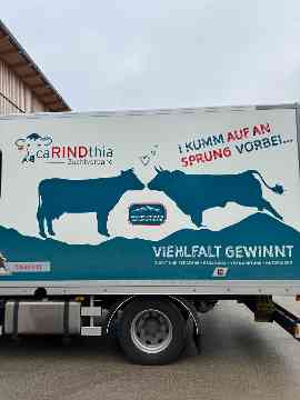 Zuchtrindversteigerung in St. Donat